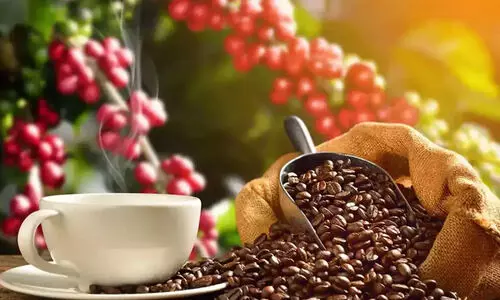 കാപ്പിക്ക് നല്ലകാലം; കുരുമുളകിനും