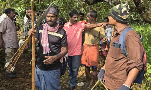 അമ്പും വില്ലുമായി കാടിളക്കി കാട്ടുപന്നിവേട്ട