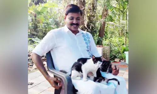 വഴിയോരങ്ങളിലെ പൂച്ചകള്‍ ജയന്റെ കൈകളില്‍ സുരക്ഷിതരാണ്