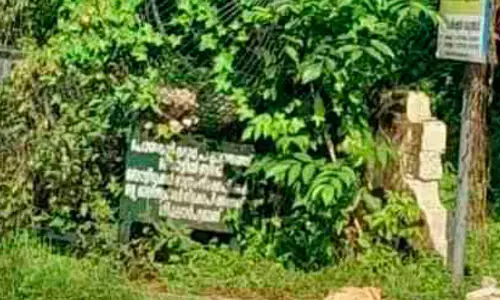 കാമറയും മാലിന്യനിക്ഷേപ ബോട്ടിലും കാടുകയറി