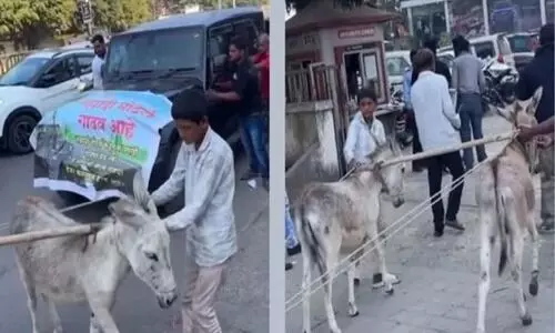 Mahindra thar donkey