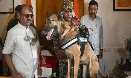 Ananda bose weapon search