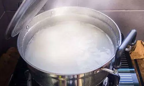 കഞ്ഞിവെള്ളം വെറുതെ കളയേണ്ട, അടുക്കളത്തോട്ടത്തിലേക്ക് ഉഗ്രൻ കീടനാശിനിയാക്കാം