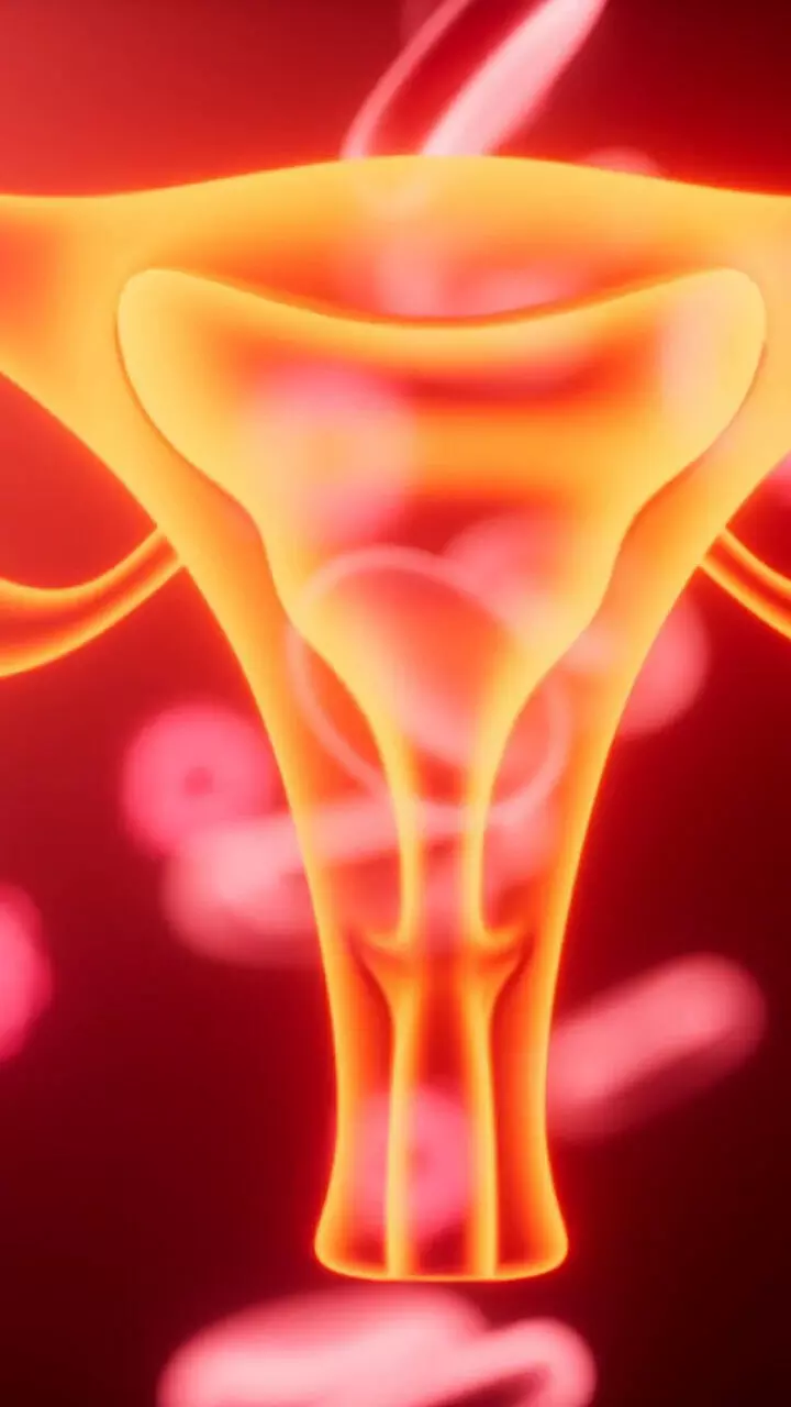 ആർത്തവ വിരാമത്തിന്‍റെ 7 ലക്ഷണങ്ങൾ