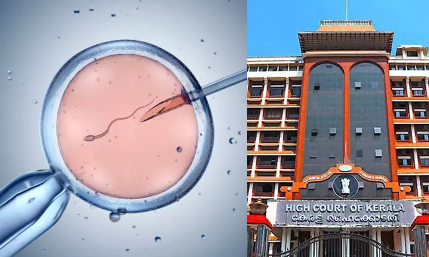 Artificial insemination