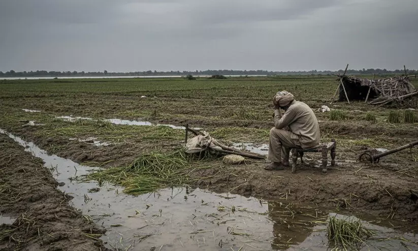 Farmers,Suicide,Maharashtra,Marathwada,10 months, മറാത്ത്വാഡ, കർഷകആത്മഹത്യ, മഹാരാഷ്ട്ര Farmers,Suicide,Maharashtra,Marathwada,10 months, മറാത്ത്വാഡ, കർഷകആത്മഹത്യ, മഹാരാഷ്ട്ര