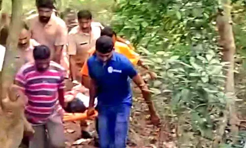 അതിരപ്പിള്ളിയിൽ കാർ കൊക്കയിലേക്ക് മറിഞ്ഞു; 10 പേർക്ക് പരിക്ക്