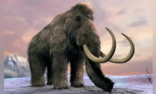 ‘ശരീരം രോമാവൃതം, അന്ത്യം 40,000 വർഷങ്ങൾക്ക് മുമ്പ്’; മാമത്തിന്‍റെ ഏറ്റവും പഴക്കമുള്ള ആർ.എൻ.എ വിജയകരമായി വേർതിരിച്ച് ശാസ്ത്രജ്ഞർ