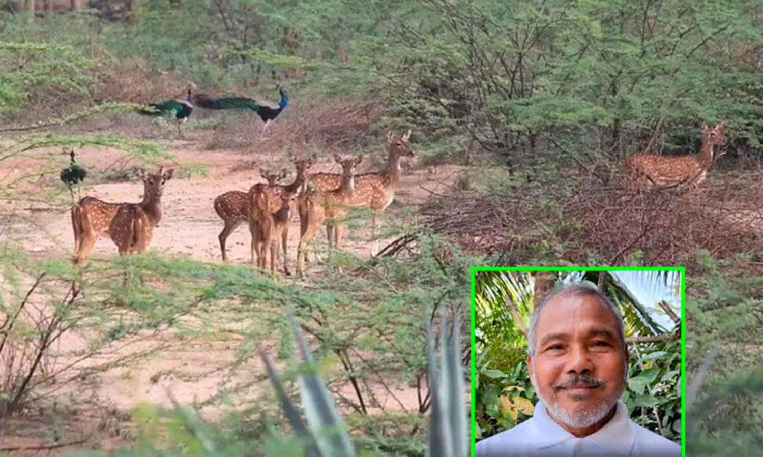 35 ഏക്കർ കൃഷിഭൂമി 2000 മാനുകൾക്കായി വിട്ടുകൊടുത്ത് കർഷകനായ ഗുരുസ്വാമി; പ്രകൃതി സ്നേഹികൾക്കൊരു പാഠം