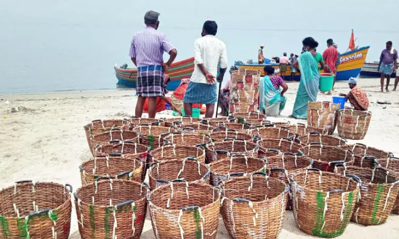 മത്സ്യമേഖലയുടെ വികസനത്തിന് വേണമൊരു കോസ്റ്റൽ സബ്പ്ലാൻ മത്സ്യമേഖലയുടെ വികസനത്തിന് വേണമൊരു കോസ്റ്റൽ സബ്പ്ലാൻ