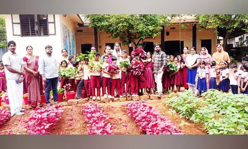 പൊടിശല്യം അസഹ്യമായപ്പോൾ മണ്ണിൽ പൊന്നുവിളയിച്ച് വിദ്യാർഥികൾ