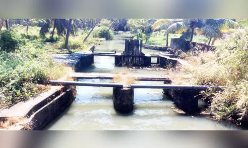 അധികൃതരുടെ അനാസ്ഥ; പടന്നയിൽ ഉപ്പുവെള്ളം കയറി കൃഷിയും കുടിവെള്ള സ്രോതസും നശിക്കുന്നു അധികൃതരുടെ അനാസ്ഥ; പടന്നയിൽ ഉപ്പുവെള്ളം കയറി കൃഷിയും കുടിവെള്ള സ്രോതസും നശിക്കുന്നു