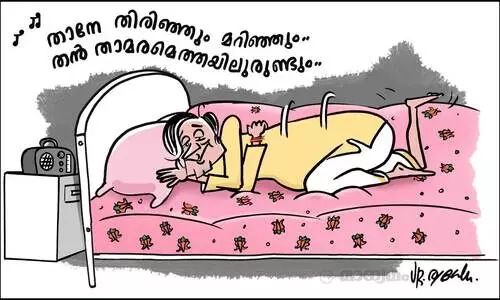 മധുമാസസുന്ദരശശിലേഖ