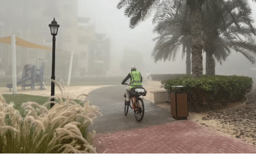 Heavy,fog, flight, Dubai, മൂടൽമഞ്ഞ്, ദുബൈ, വിമാനങ്ങൾ, ദുബൈ വിമാനത്താവളം