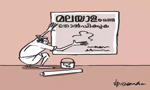 പോസ്റ്റർ പാണിനി, ഫ്ലെക്സ് പിക്കാസോ