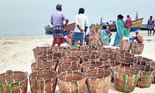 മ​ത്സ്യ​മേ​ഖ​ല​യു​ടെ വി​ക​സ​ന​ത്തി​ന്  വേ​ണ​മൊ​രു കോ​സ്റ്റ​ൽ സ​ബ്പ്ലാ​ൻ