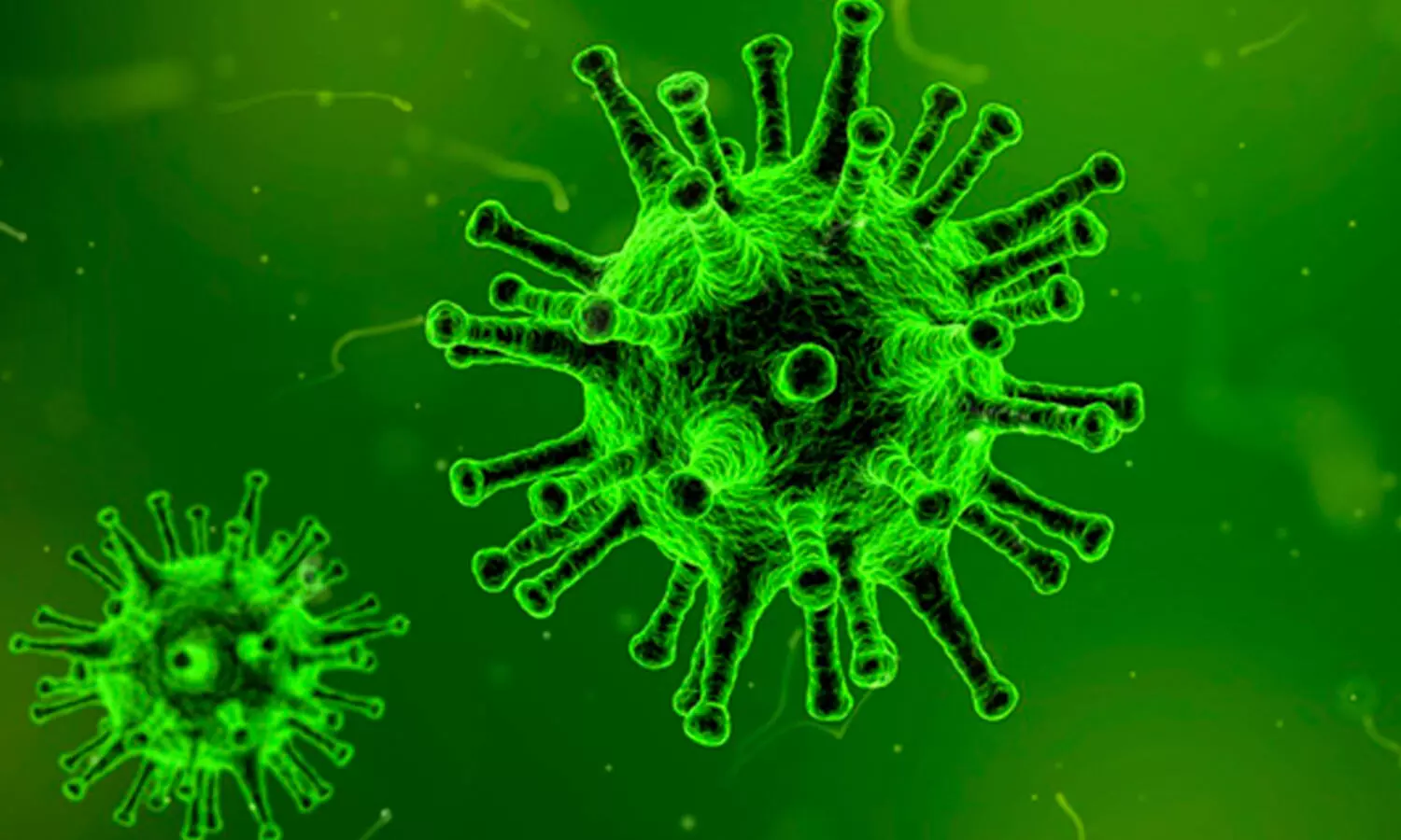 ബാക്ടീരിയ​ക്കെതിരായ ചികിത്സയിൽ തിരിച്ചടി; ഗുജറാത്തിൽ 82 ശതമാനം ബാക്ടീരിയകളും മരുന്നിനെ പ്രതിരോധിക്കുന്നതായി പുതിയ പഠനം