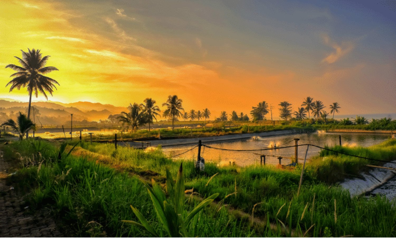 നവകേരളമാണോ പഴയ കേരളമാണോ നമുക്ക് വേണ്ടത്‍? ഈ തർക്കത്തിൽ കാര്യമുണ്ടോ എന്നറിയാം