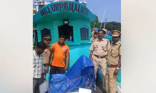 അനധികൃത മത്സ്യബന്ധനം; ബോട്ട് കസ്റ്റഡിയിൽ