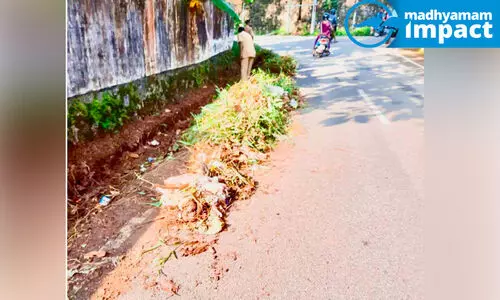 കാടുമൂടി ഓട; ഒടുവിൽ വെട്ടിത്തെളിച്ചു
