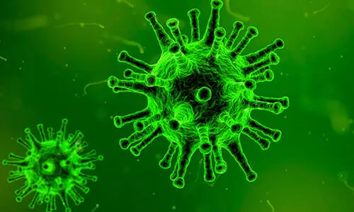 ബാക്ടീരിയ​ക്കെതിരായ ചികിത്സയിൽ തിരിച്ചടി; ഗുജറാത്തിൽ 82 ശതമാനം ബാക്ടീരിയകളും മരുന്നിനെ പ്രതിരോധിക്കുന്നതായി പുതിയ പഠനം