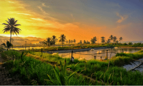 നവകേരളമാണോ പഴയ കേരളമാണോ നമുക്ക് വേണ്ടത്‍? ഈ തർക്കത്തിൽ കാര്യമുണ്ടോ എന്നറിയാം