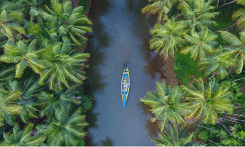 ഒരു റീൽ വൈറലാകുന്നതോടെ സംഭവിക്കുന്നത് ഒരു ഇൻഫ്ലുവൻസറുടെ ജനനം; ഇത് പ്രോ വേർഷൻ മലയാളി