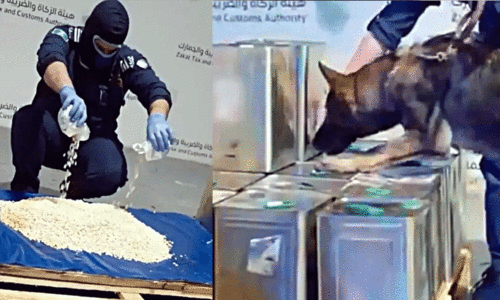 ഒലിവ് എണ്ണയുടെ ടിന്നുകളിൽ മയക്കുമരുന്ന് കടത്താനുള്ള ശ്രമം തടഞ്ഞു