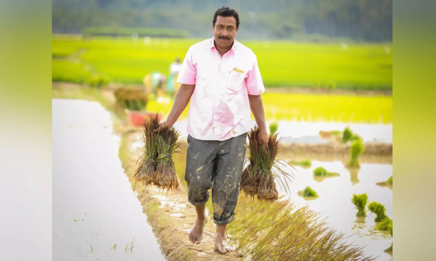 വിത്ത് ലവ്; നെൽവിത്തിനെ പ്രണയിച്ച കഥ...