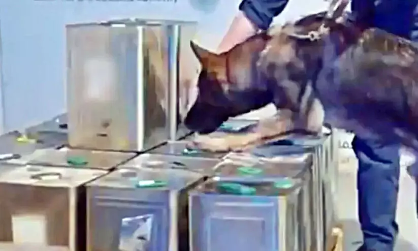 ഒലിവ് എണ്ണയുടെ ടിന്നുകളിൽ മയക്കുമരുന്ന് കടത്താനുള്ള ശ്രമം തടഞ്ഞു