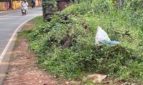 സംസ്ഥാന പാത; അപകടവളവിലെ മരത്തടികൾ എടുത്തുമാറ്റിയില്ല