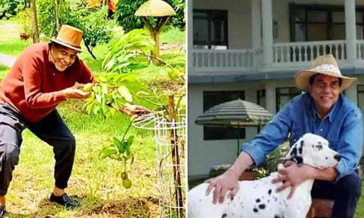 ബോളിവുഡിന്റെ ഹി മാൻ; കൃഷിയെ പ്രണയിച്ച ധർമേന്ദ്ര