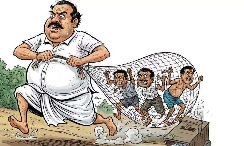 representative image representative image