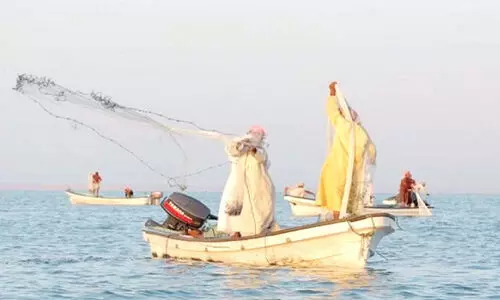 ഒ​മാ​നി​ൽ ചെ​മ്മീ​ൻ​പി​ടി​ത്ത സീ​സ​ൺ അ​വ​സാ​നി​ക്കു​ന്നു