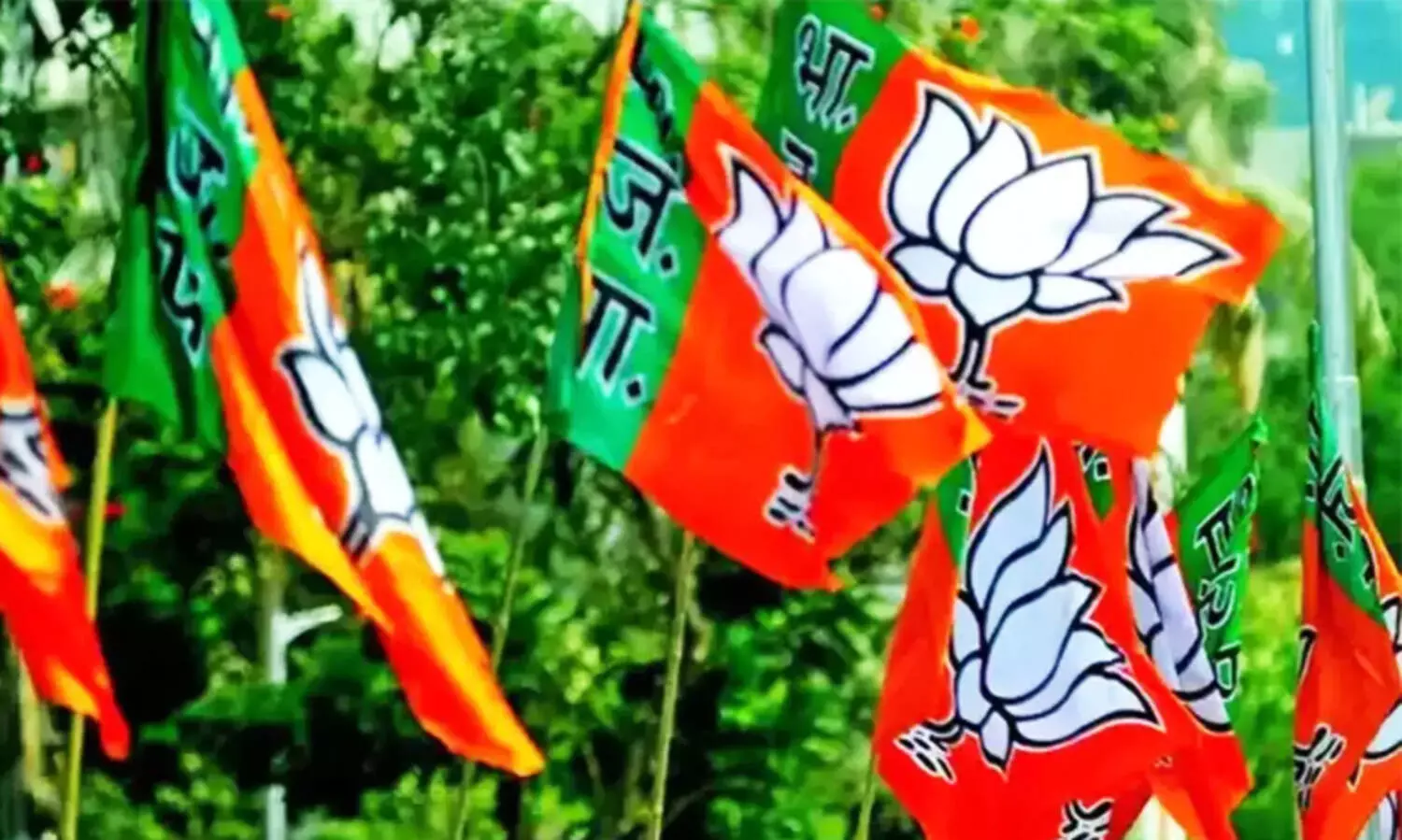 പള്ളിമേടയിലെത്തി വികാരിയെ അസഭ്യം പറഞ്ഞ ബി.ജെ.പി സ്ഥാനാർഥിക്കെതിരെ കേസ്​