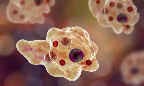 കെട്ടടങ്ങാതെ അമീബിക് മസ്തിഷ്കജ്വരം; 22 ദിവസത്തിനിടെ ഒമ്പത് മരണം കെട്ടടങ്ങാതെ അമീബിക് മസ്തിഷ്കജ്വരം; 22 ദിവസത്തിനിടെ ഒമ്പത് മരണം