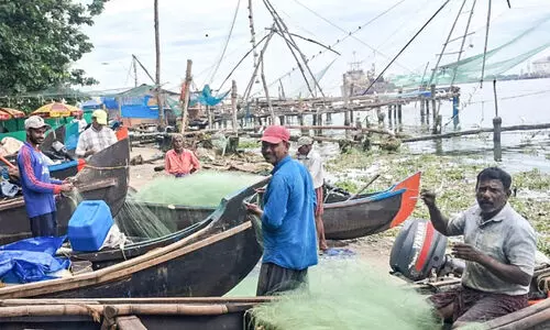 കടപ്പുറത്ത് വല നിറയെ വോട്ട് വർത്തമാനം