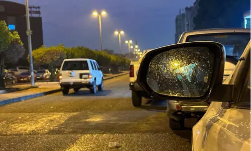 വ​രും ദി​വ​സ​ങ്ങ​ളി​ൽ മ​ഴ​ക്ക് സാ​ധ്യ​ത