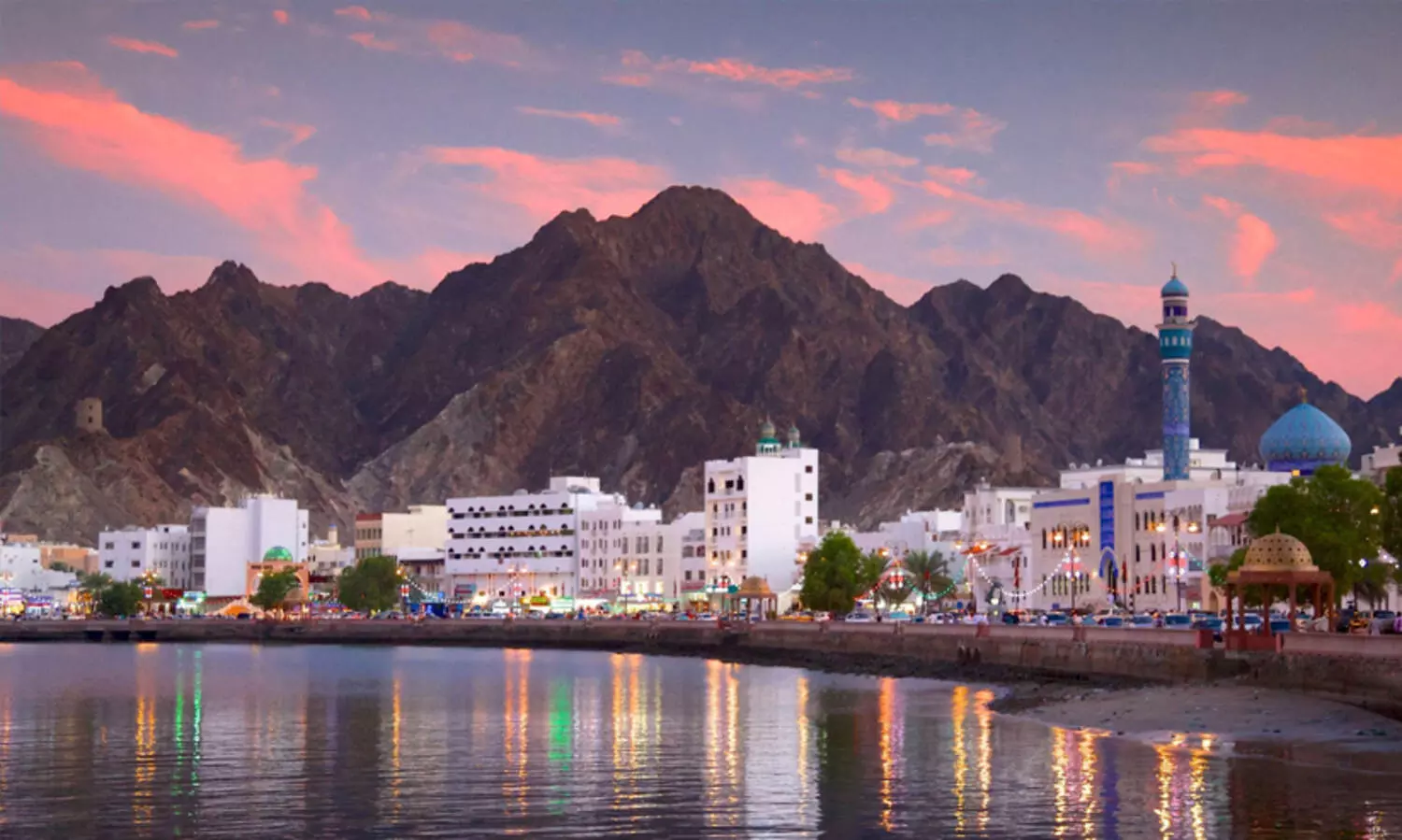 രാസായുധ നിരോധന സമ്മേളനത്തിൽ പങ്കെടുത്ത് ഒമാൻ