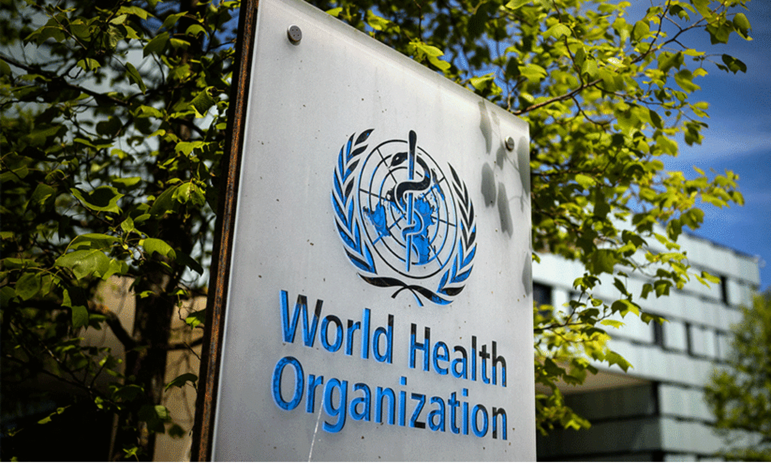 എല്ലാ സർക്കാർ മേഖലകളിലും മാനസികാരോഗ്യം; ലോകാരോഗ്യ സംഘടനയുടെ പുതിയ മാർഗനിർദേശങ്ങൾ