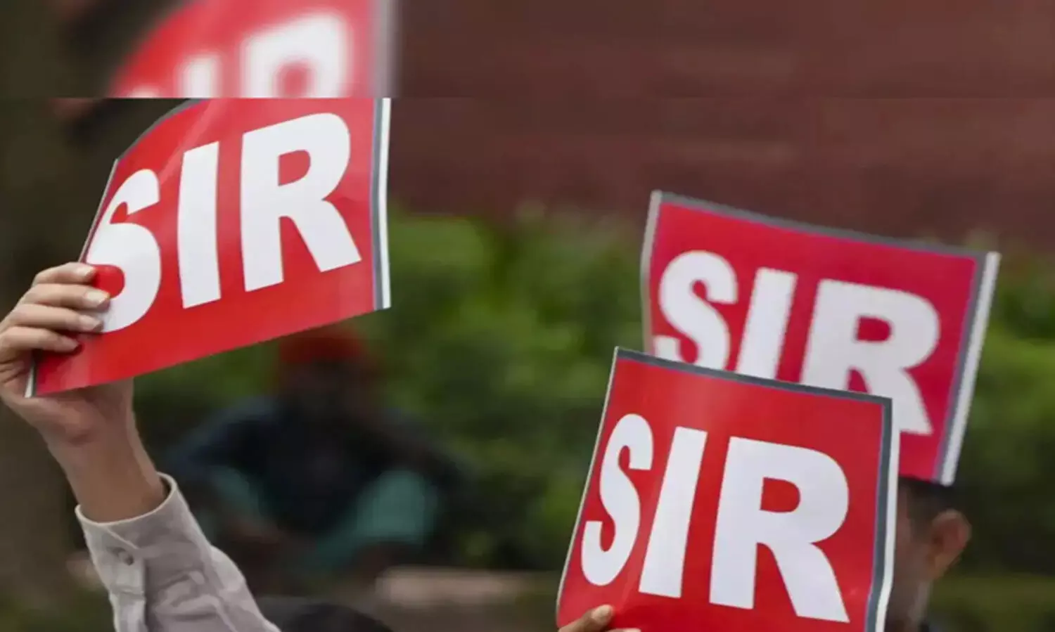 എസ്.ഐ.ആർ-തദ്ദേശ തെരഞ്ഞെടുപ്പ് അവലോകനം നടത്തി കെ.എം.സി.സി