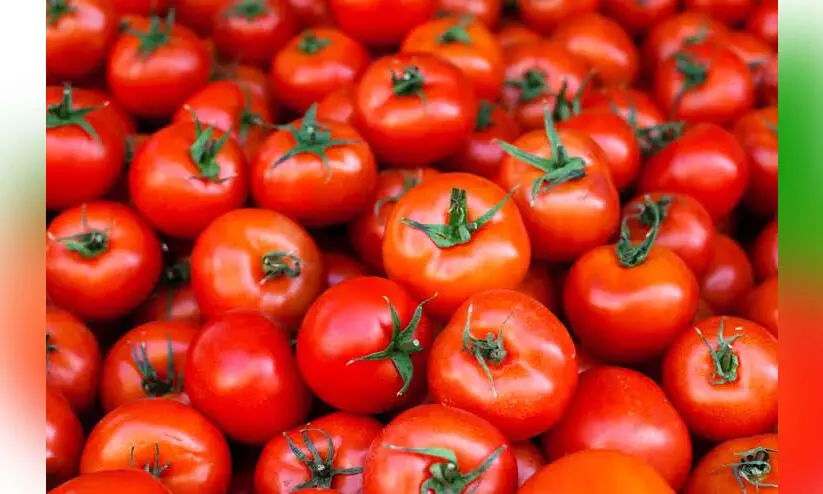 തക്കാളിക്ക് വിലക്കയറ്റം, കിലോ 80