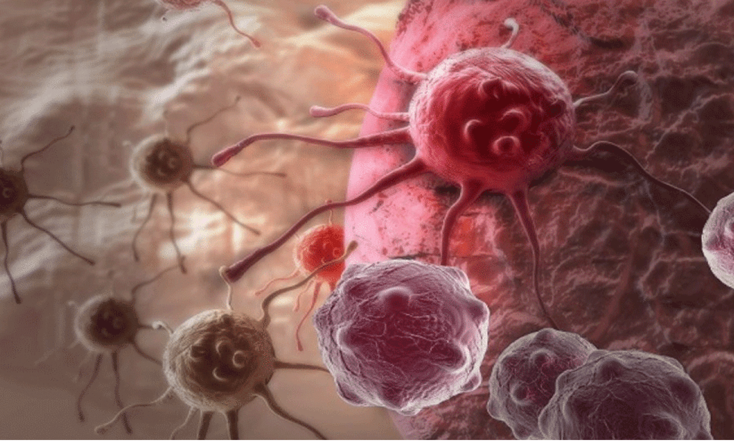 പ്രതീക്ഷ നൽകുന്ന ഗവേഷണം; കീമോതെറാപ്പി പ്രതിരോധിക്കുന്ന കാൻസർ കോശങ്ങളെ നശിപ്പിക്കാൻ മരുന്ന് കണ്ടെത്തി