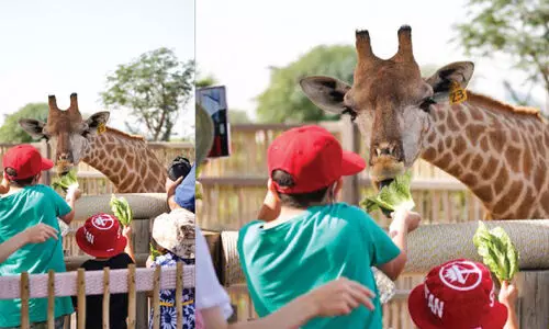 സഫാരി പാർക്ക് ടിക്കറ്റ് നിരക്കിൽ 50 ശതമാനം ഇളവ്