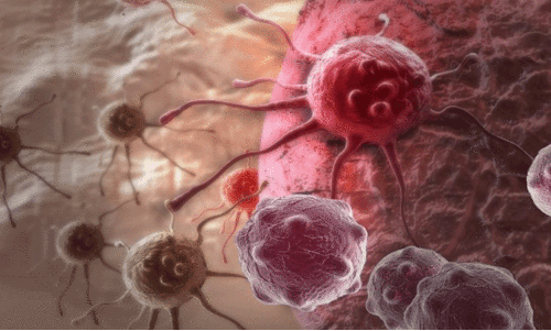 പ്രതീക്ഷ നൽകുന്ന ഗവേഷണം; കീമോതെറാപ്പി പ്രതിരോധിക്കുന്ന കാൻസർ കോശങ്ങളെ നശിപ്പിക്കാൻ മരുന്ന് കണ്ടെത്തി