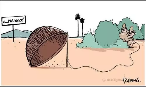 കുട്ടക്കെണി