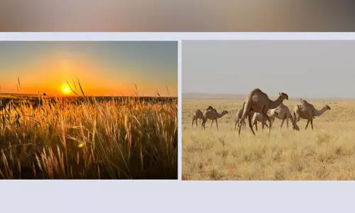 ഭൂ​പ്ര​കൃ​തി​യു​ടെ മ​നോ​ഹ​ര ചി​ത്ര​മാ​യി ‘റ​ഫ’​യി​ലെ ലി​ന ഗ്രാ​മം