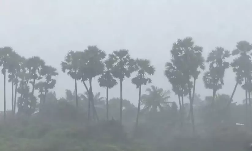 കിഴക്കൻ തീരംതൊടാൻ ‘ദിത്വ’; തമിഴ്നാട്ടിലും ആന്ധ്രയിലും റെഡ് അലർട്ട്