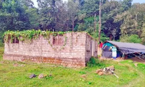 വഴിയില്ല, വീടുമില്ല; ആദിവാസികൾ ജീവിതം തള്ളിനീക്കുന്നത് കുടിലിൽ വഴിയില്ല, വീടുമില്ല; ആദിവാസികൾ ജീവിതം തള്ളിനീക്കുന്നത് കുടിലിൽ