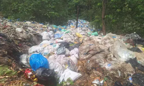 അ​ശാ​സ്ത്രീ​യ മാ​ലി​ന്യ സം​സ്ക​ര​ണം; പ​ന്നി ഫാ​മി​നും അ​ഞ്ച് ഹോ​ട്ട​ലു​ക​ൾ​ക്കും പി​ഴ